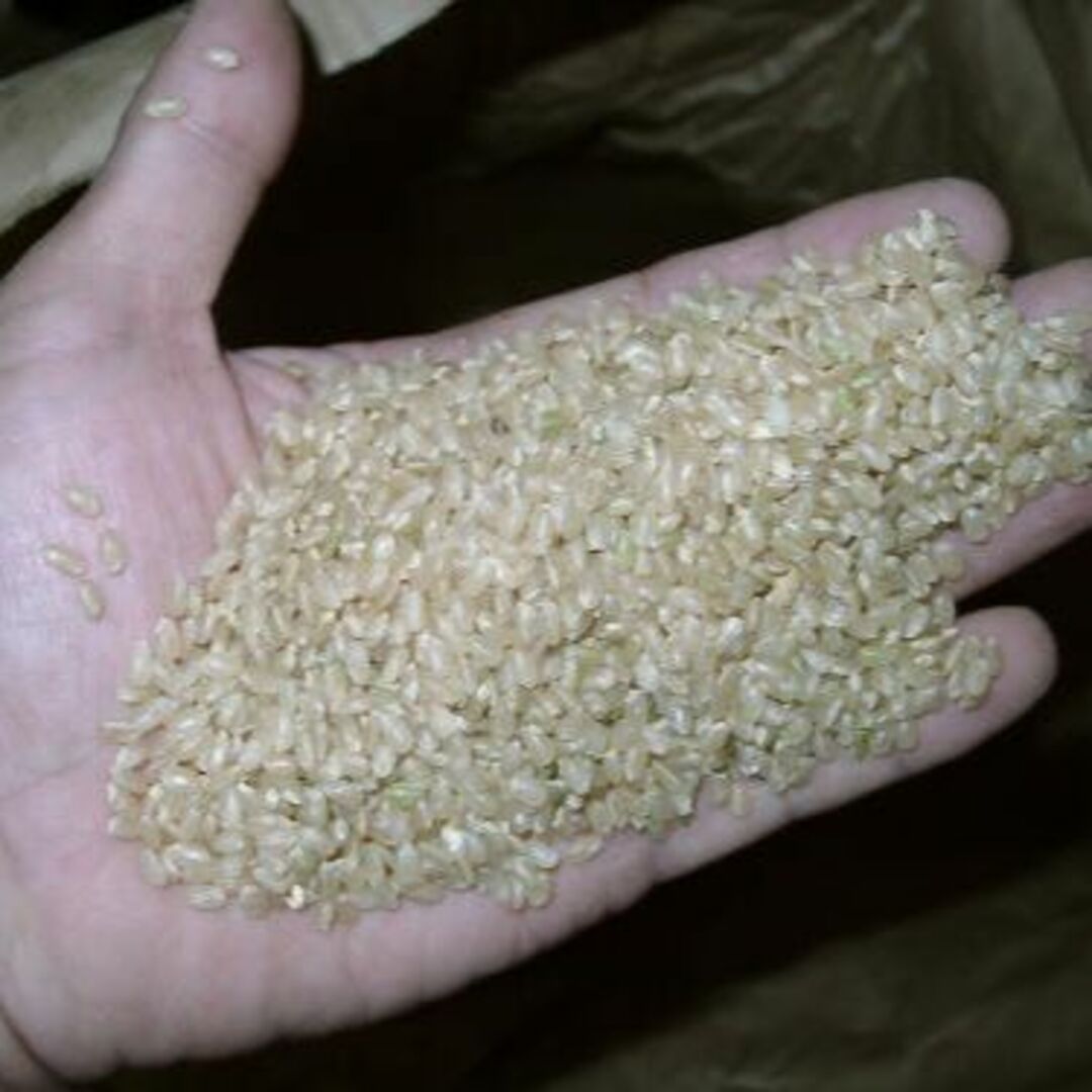玄米24kg(8㎏×3)令和4年産新米ミルキークイーン 精米・分搗き精米対応 1
