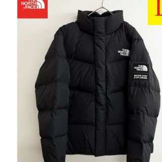 ノースフェイス(THE NORTH FACE) ダウンジャケット(メンズ)の通販