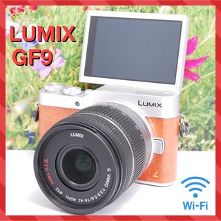 国内全数検品 Panasonic - LUMIX DMC-GH2 映画が撮れる 動画 一眼の ...
