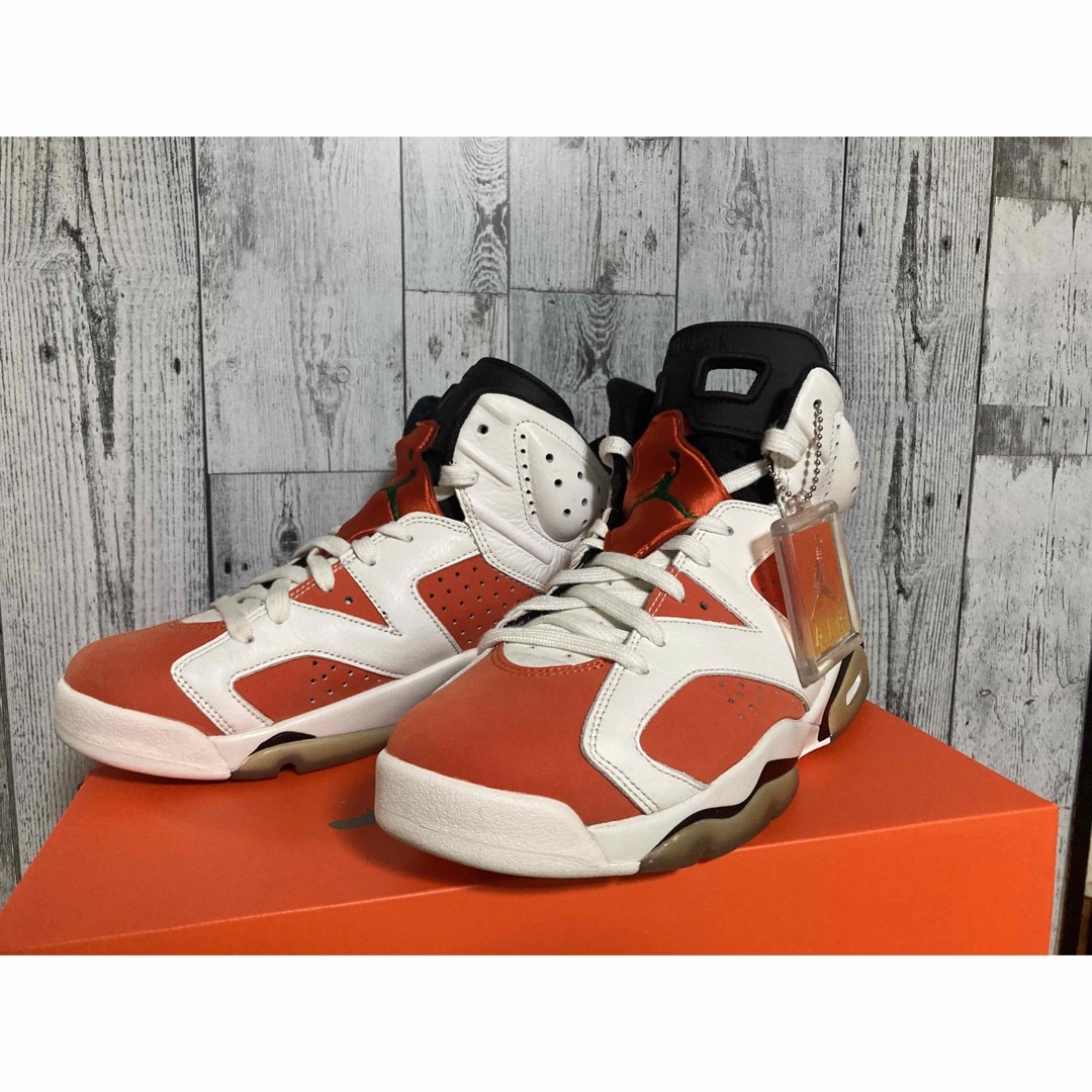 NIKE エアジョーダン6　ゲータレード　コラボ　air jordan