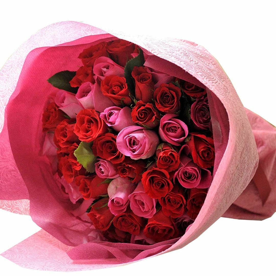 【色: 赤】フラワーキッチン 人気商品 クール便配送バラ50本の花束 レッド＆ピその他