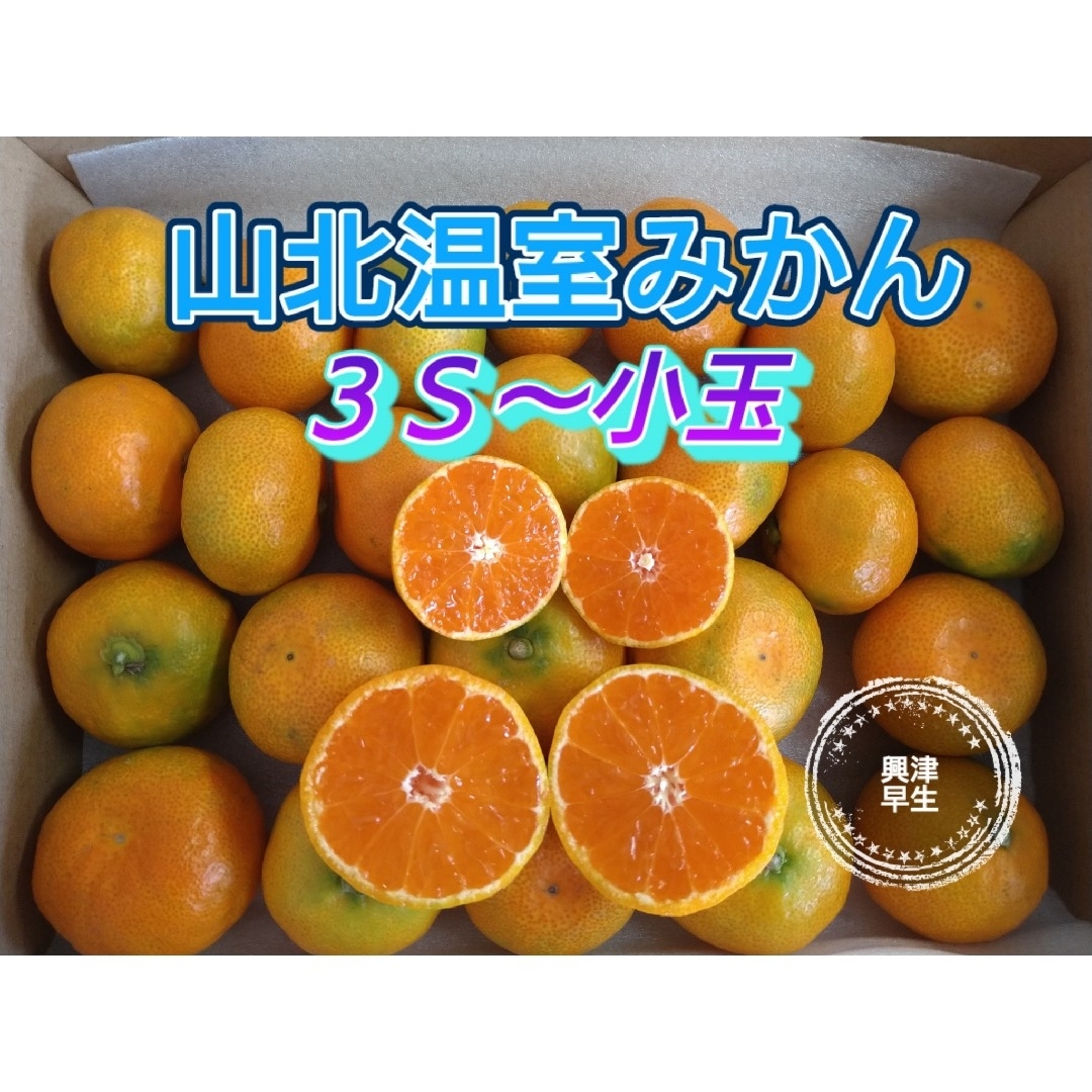 山北温室みかん 興津早生 3S～小玉 1㎏ 高知県産 宅配便コンパクト 食品/飲料/酒の食品(フルーツ)の商品写真