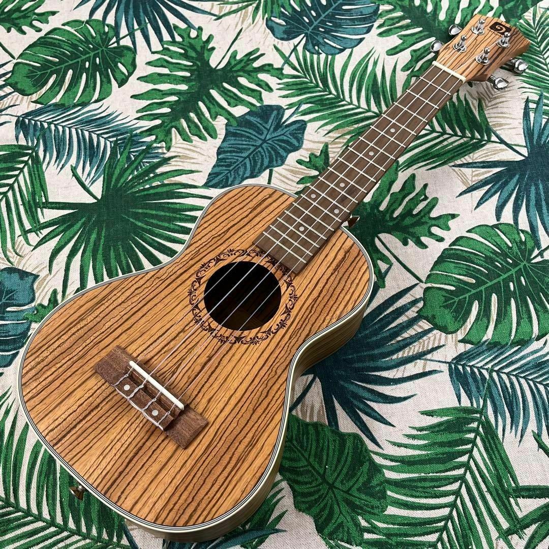 【Vangoa ukulele】ゼブラウッドのエレキテナーウクレレ【入門セット】 1