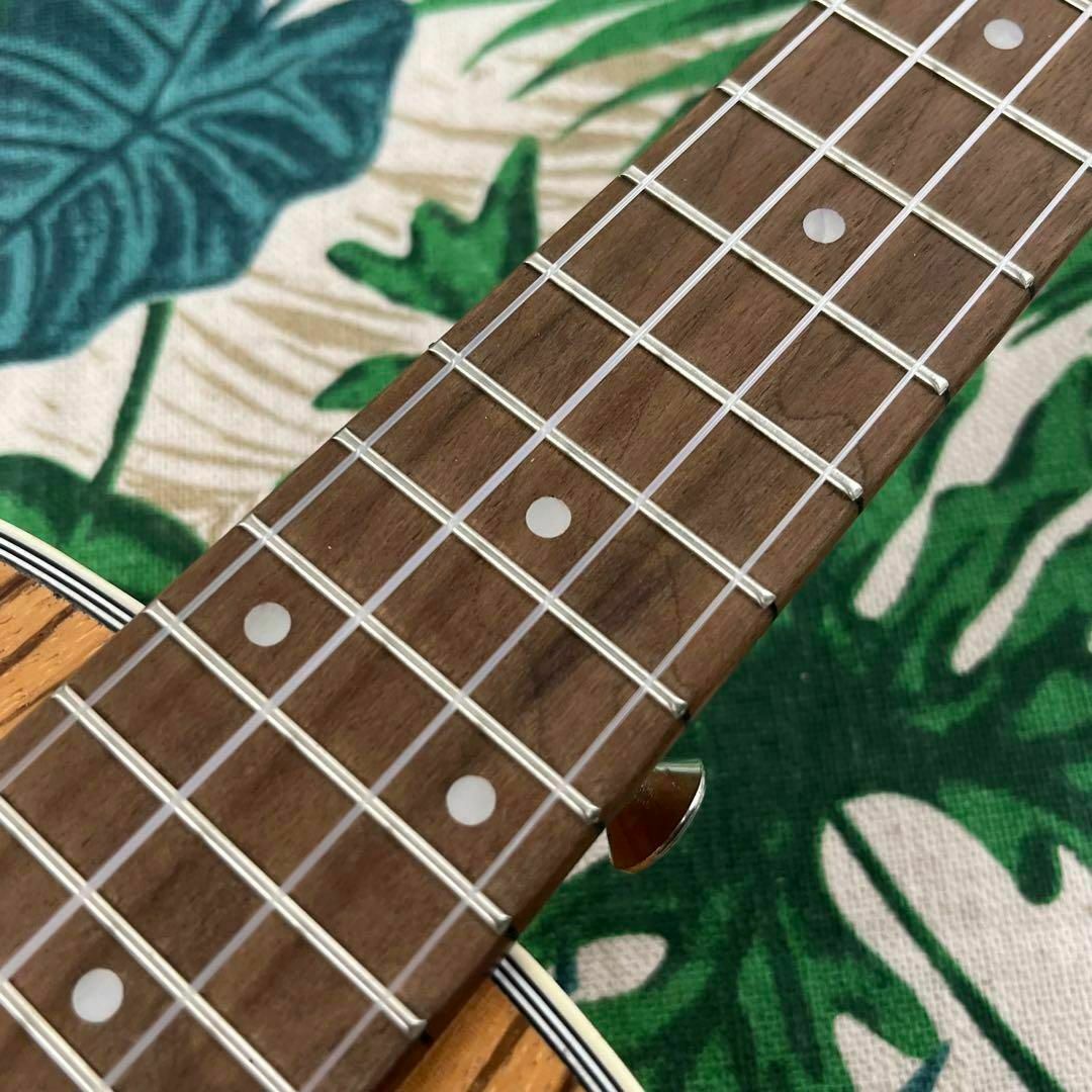 Vangoa ukulele】ゼブラウッドのエレキテナーウクレレ【入門セット ...