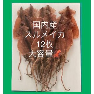 するめいか12枚 おつまみ　珍味　あたりめ　スルメイカ　北海するめ　送料込み(魚介)