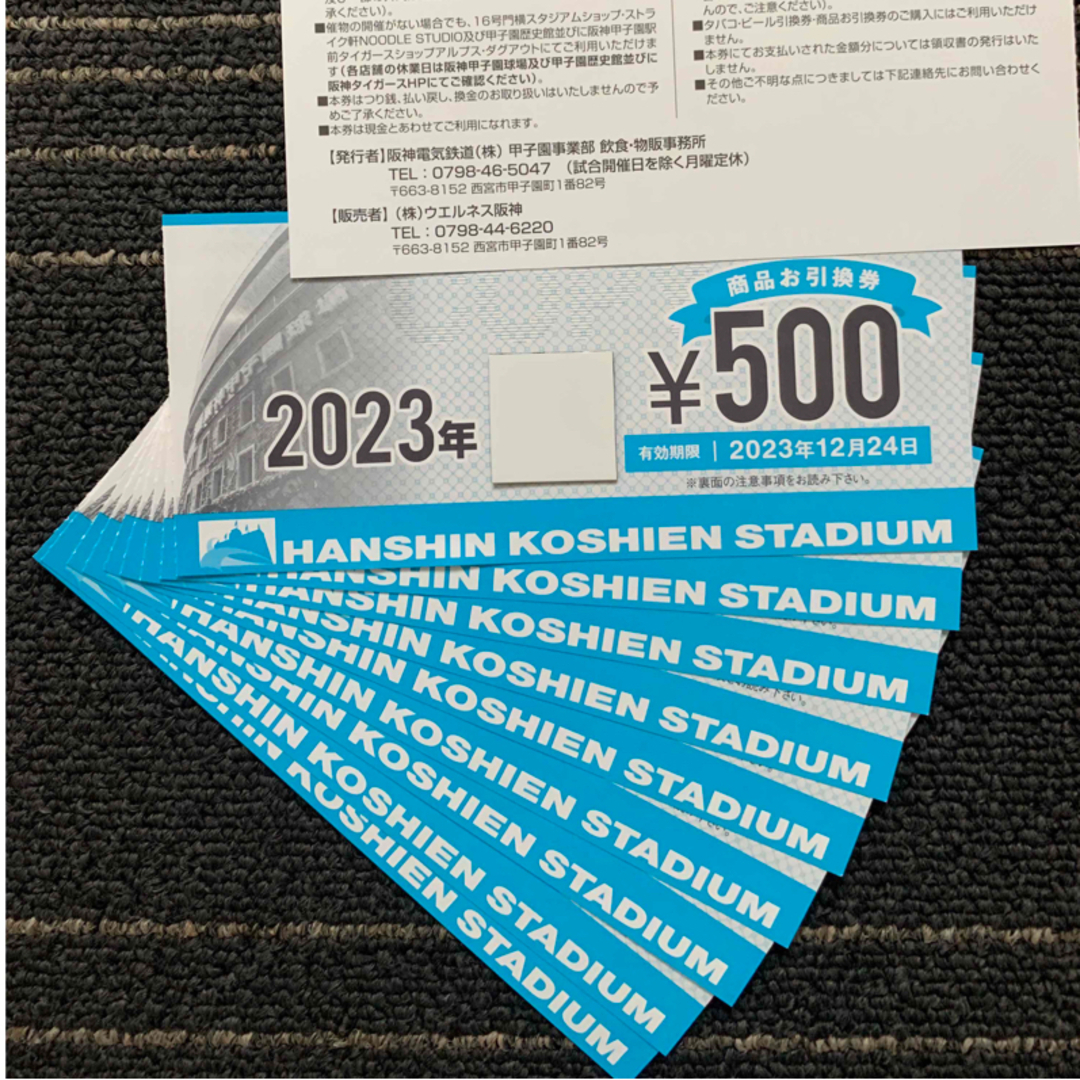 チケット阪神タイガース  2023 阪神甲子園球場 商品お引換券 30000円分