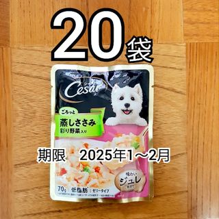 シーザー(CASAR)のシーザー　ごろっと蒸しささみ　パウチ　ドッグフード　70g　20袋(ペットフード)