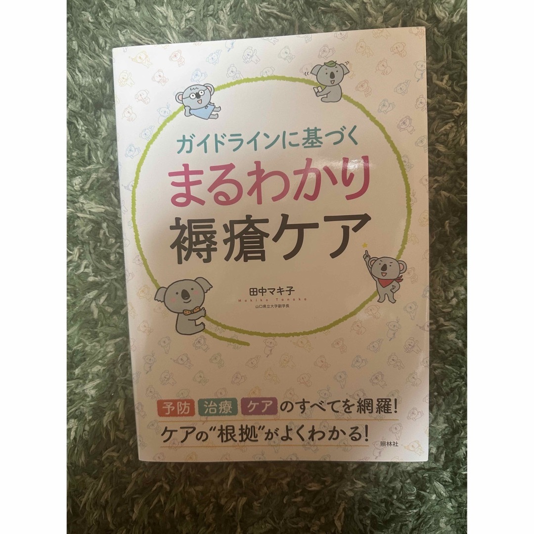 値下げしました！　ガイドラインに基づくまるわかり褥瘡ケア エンタメ/ホビーの本(健康/医学)の商品写真