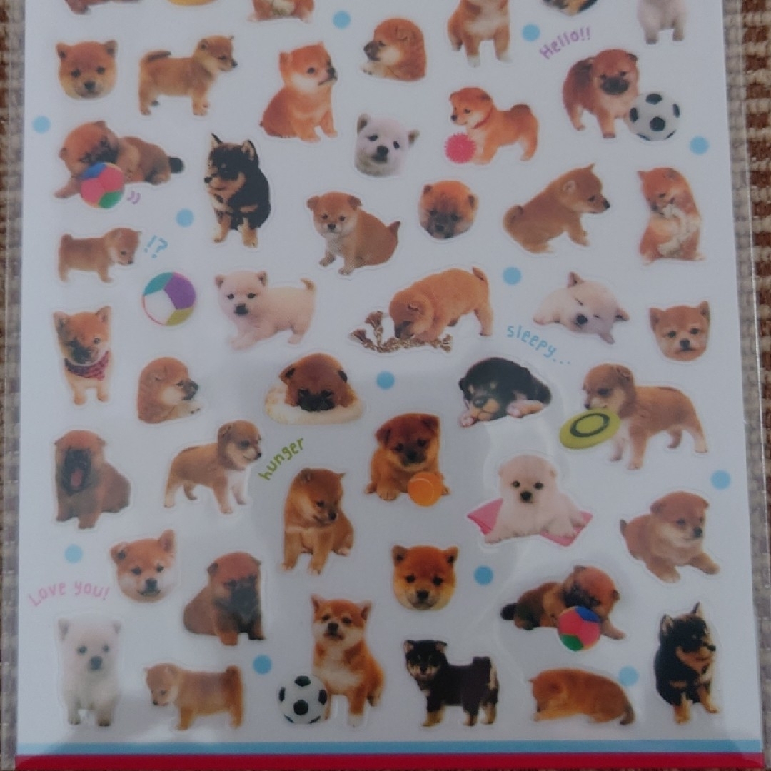 柴犬 子犬 フォトシール 2枚セット その他のペット用品(犬)の商品写真