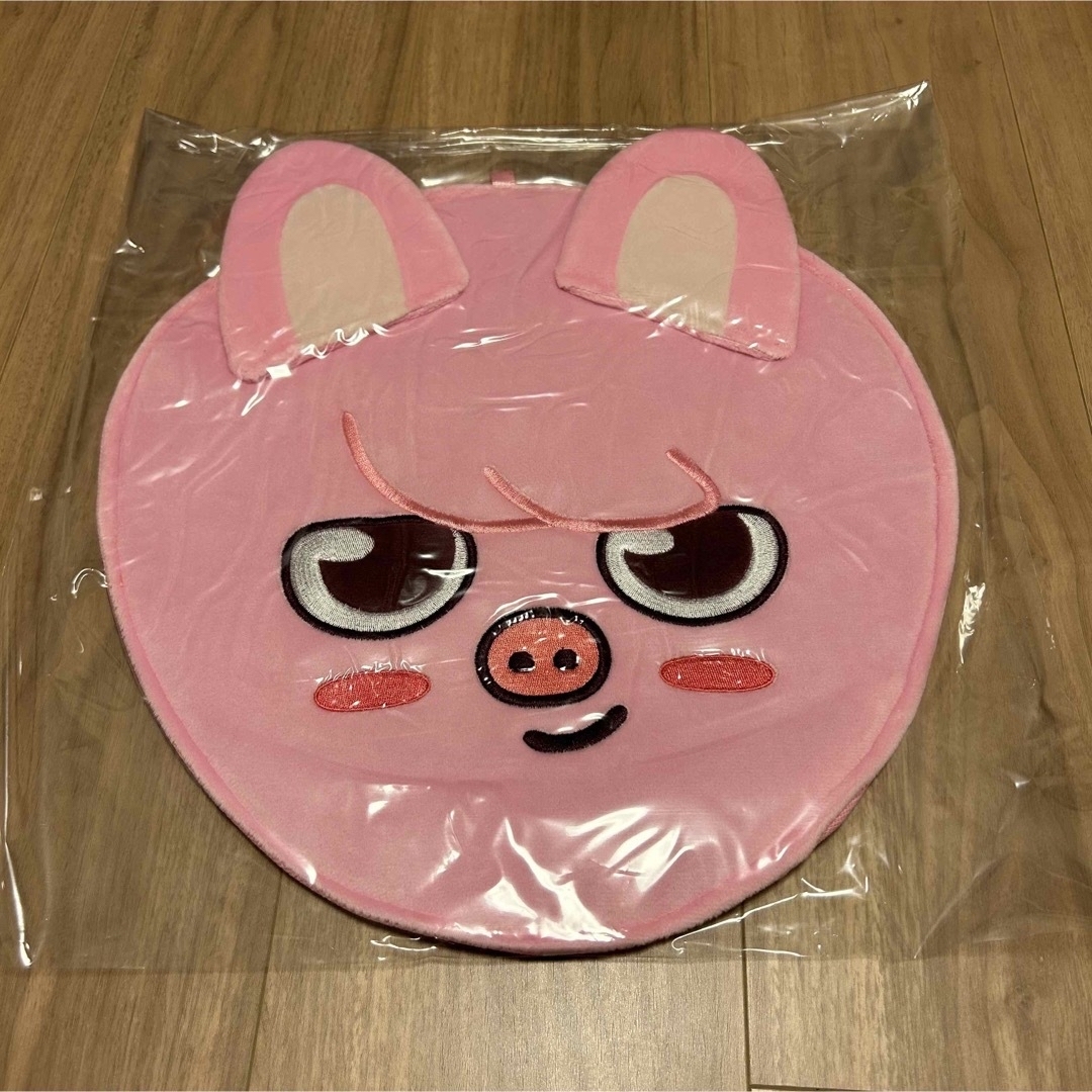 チャンビン⭐️StrayKids MANIAC うちわケース うちわカバー チャンビン⭐️StrayKids MANIAC うちわケース うちわカバー