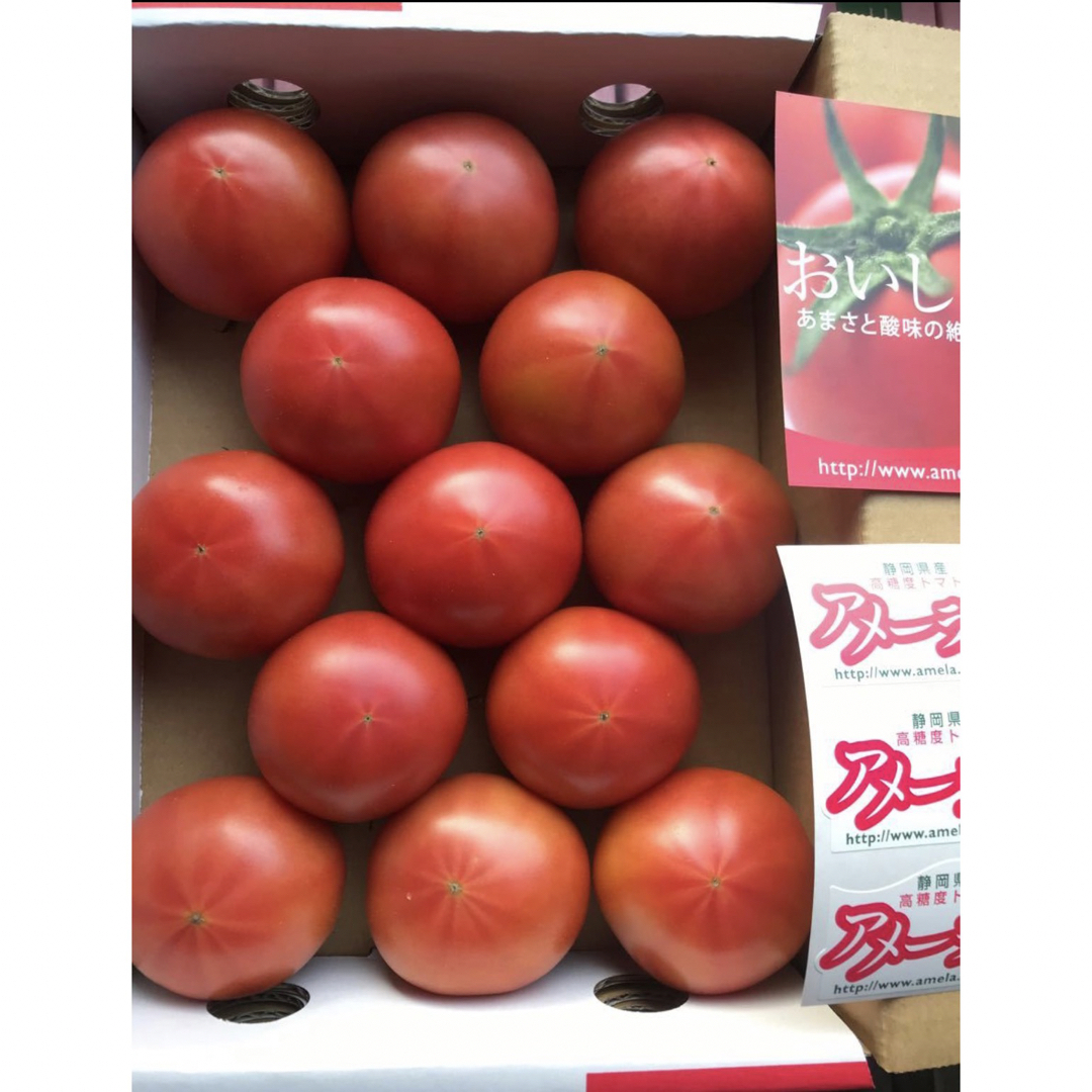 2ケース　アメーラトマト　自信あります 高糖度　フルーツトマト　品質鮮度抜群！