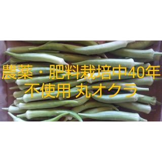 clane様 専用(野菜)