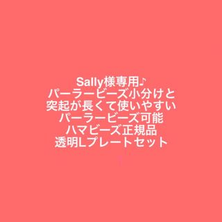 カワダ(Kawada)のSally様専用♪5mmアイロンビーズパーラービーズ小分けとプレートセット(知育玩具)