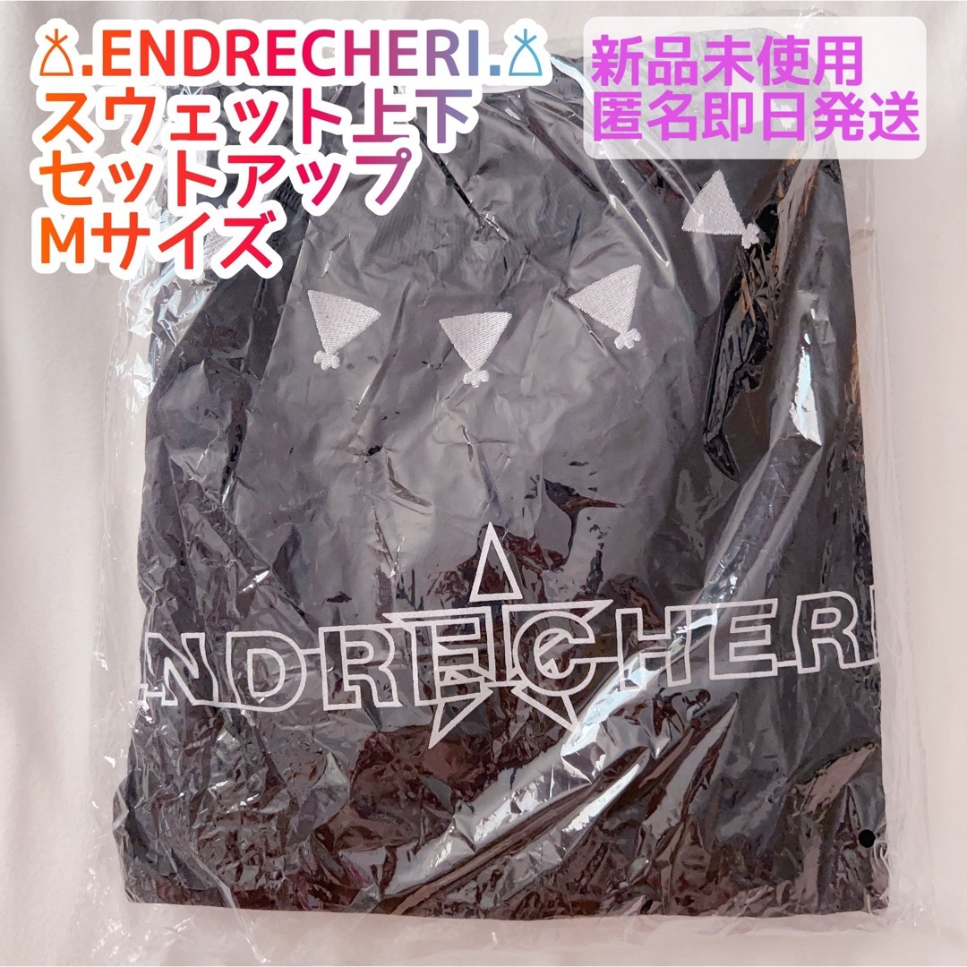 【新品未開封】.ENDRECHERI. 初期グッズ スウェットセットアップ M