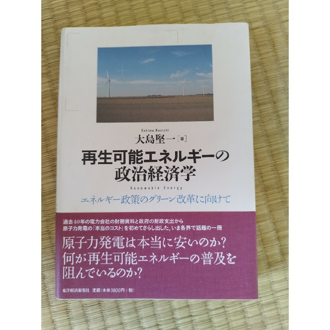 再生可能エネルギ－の政治経済学 エネルギ－政策のグリ－ン改革に向けて エンタメ/ホビーの本(ビジネス/経済)の商品写真