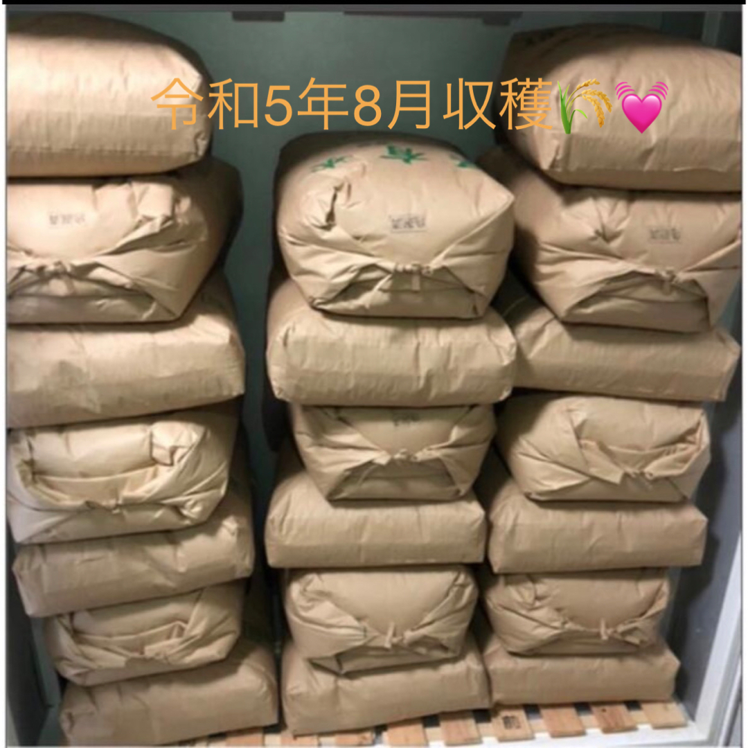 無農薬新米✨令和5年8月収穫✨高知産✨玄米30kg-