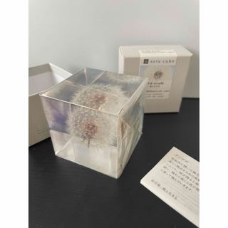 イデー(IDEE)のsola cube タンポポ5センチ角(置物)