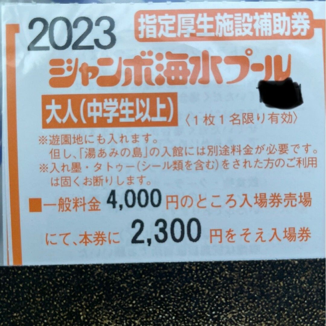 長島ジャンボ海水プール　補助券　一枚2300　割引券　4枚