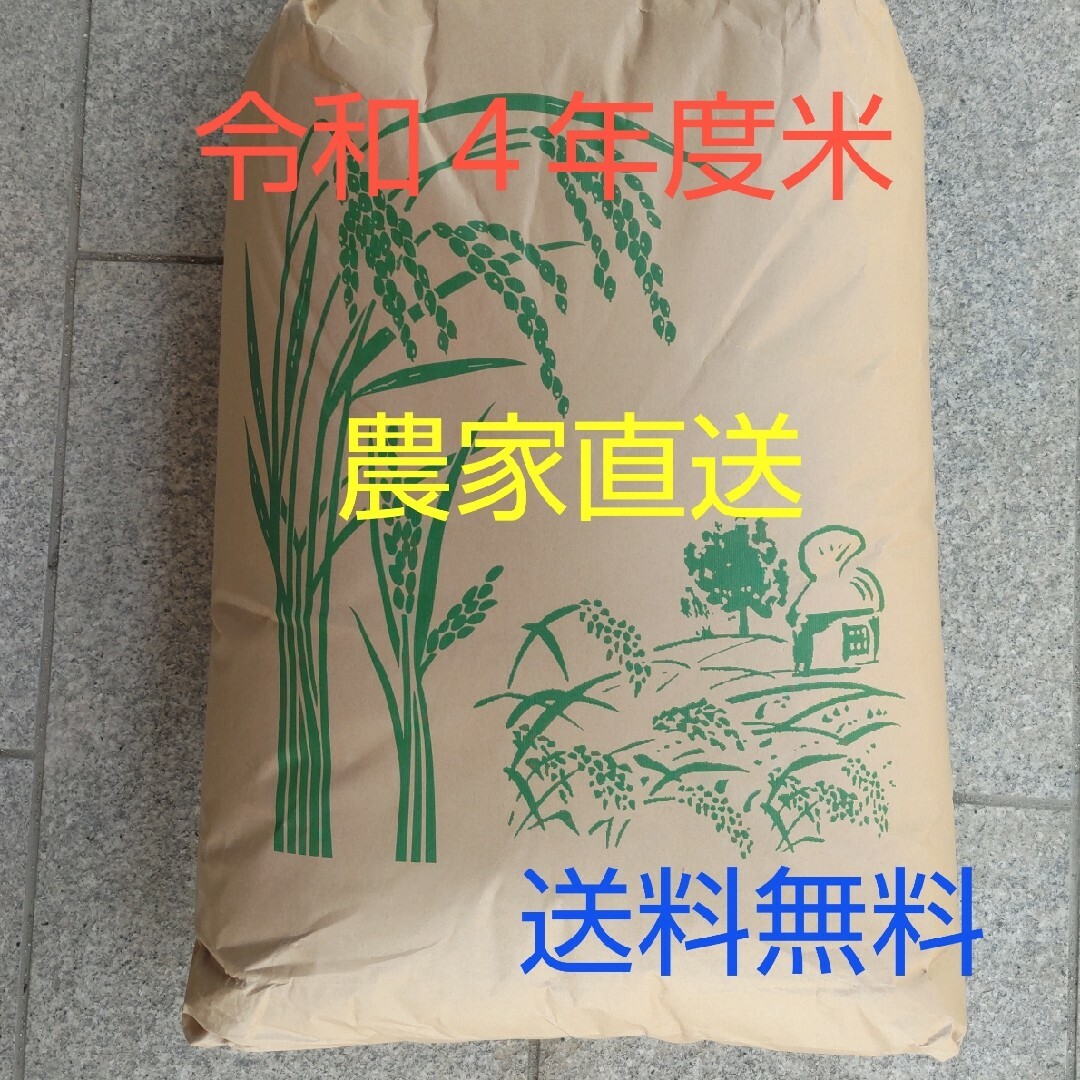 愛媛県産お米ヒノヒカリ３０kg   米/穀物