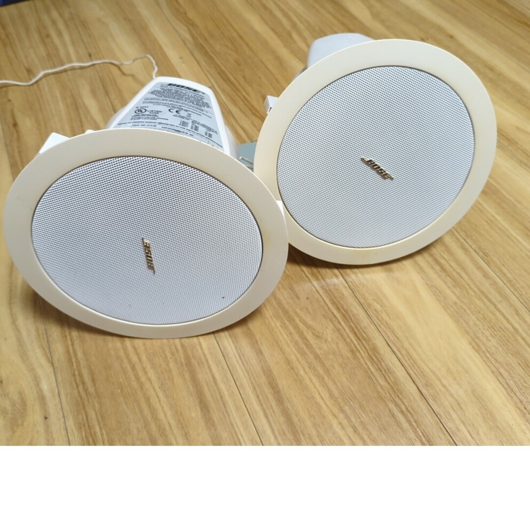 BOSE  Model 16 FreeSpaceR Loudspeaker