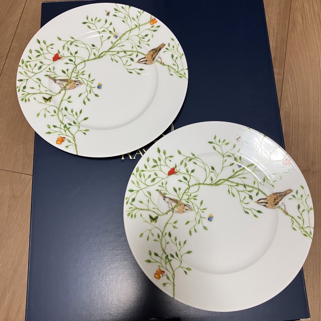 iittala - 新品未使用RAYNAUDレイノープレート デザート皿2枚セットの