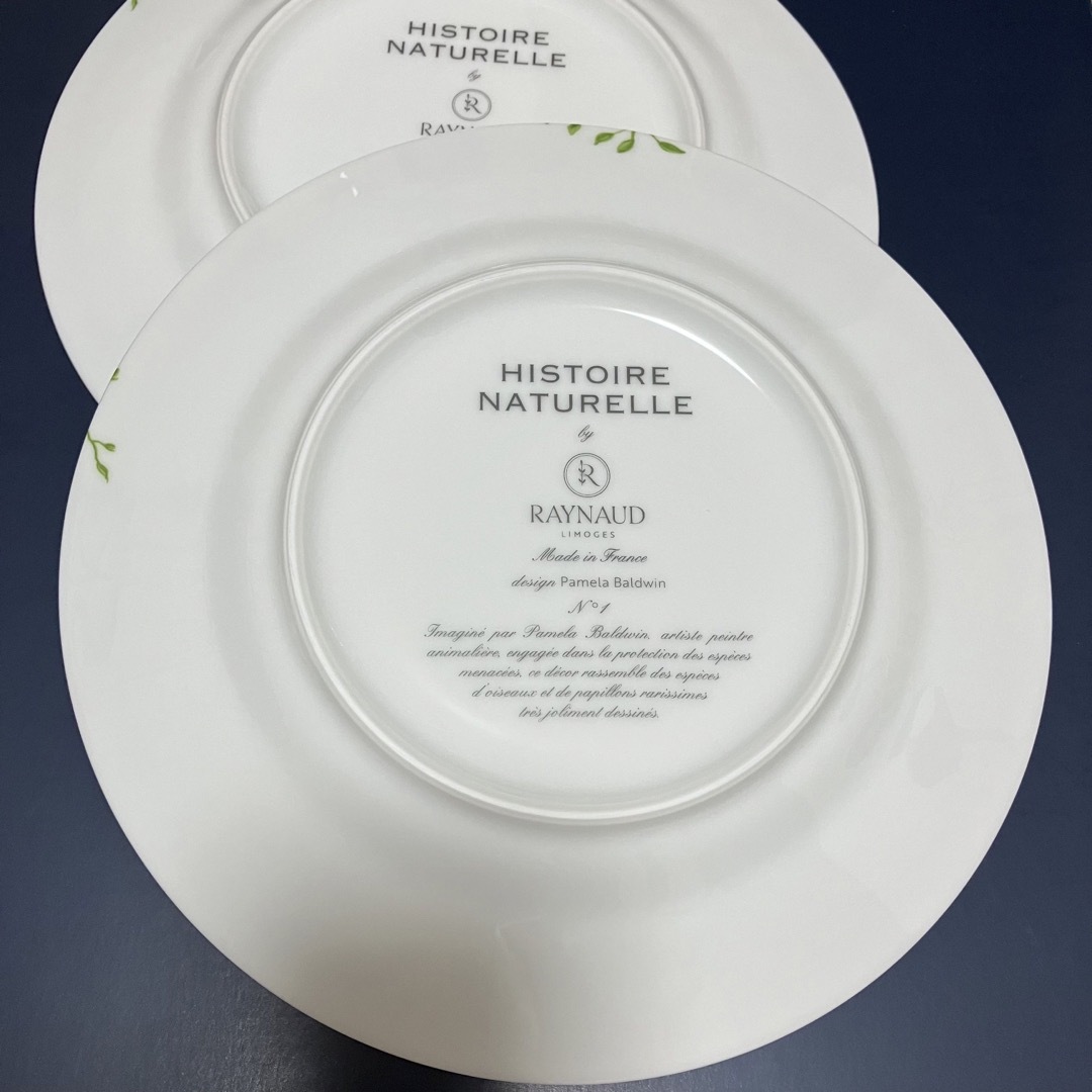 iittala - 新品未使用RAYNAUDレイノープレート デザート皿2枚セットの