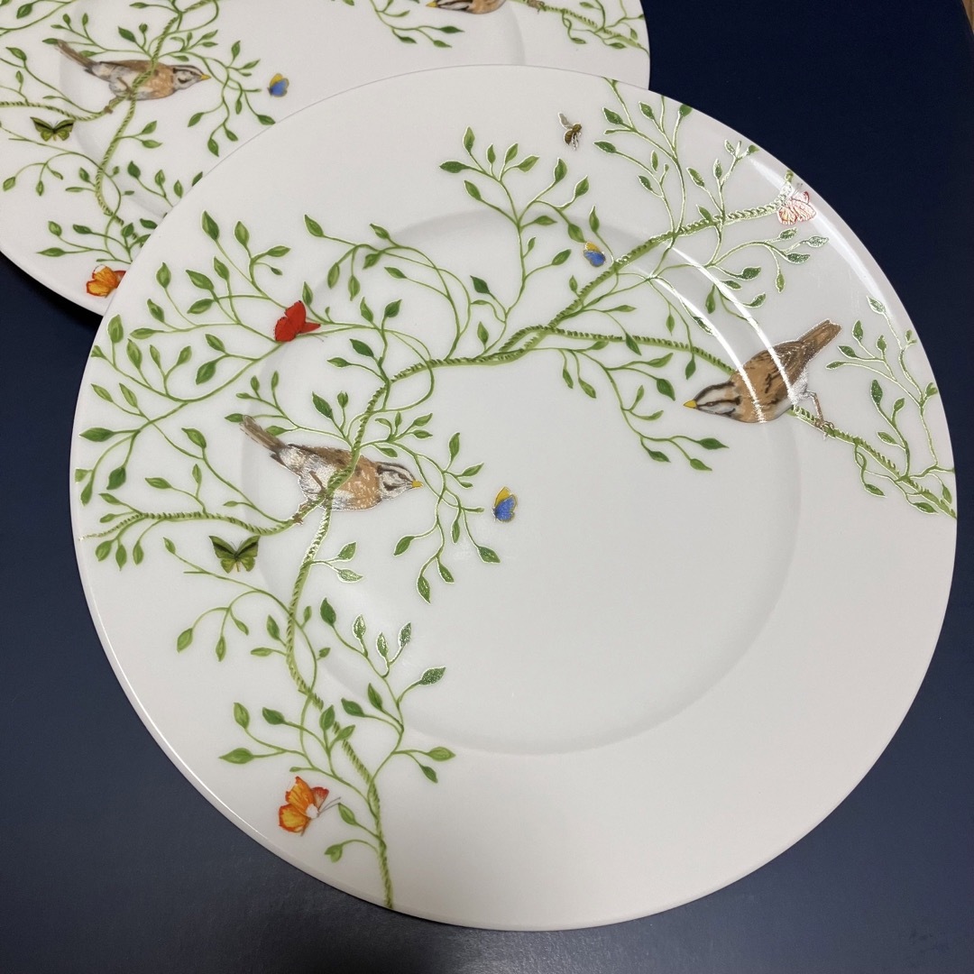 iittala - 新品未使用RAYNAUDレイノープレート デザート皿2枚セットの