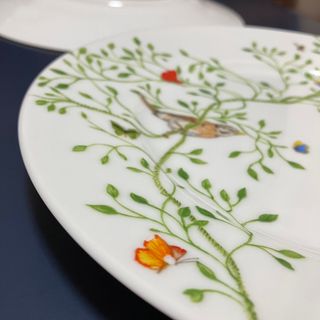 iittala - 新品未使用RAYNAUDレイノープレート デザート皿2枚