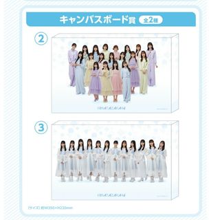 ヒナタザカフォーティーシックス(日向坂46)の日向坂46くじ　③キャンバスボード賞四期生ver(アイドルグッズ)