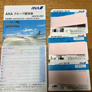 エーエヌエー(ゼンニッポンクウユ)(ANA(全日本空輸))のANA株主優待券(航空券)