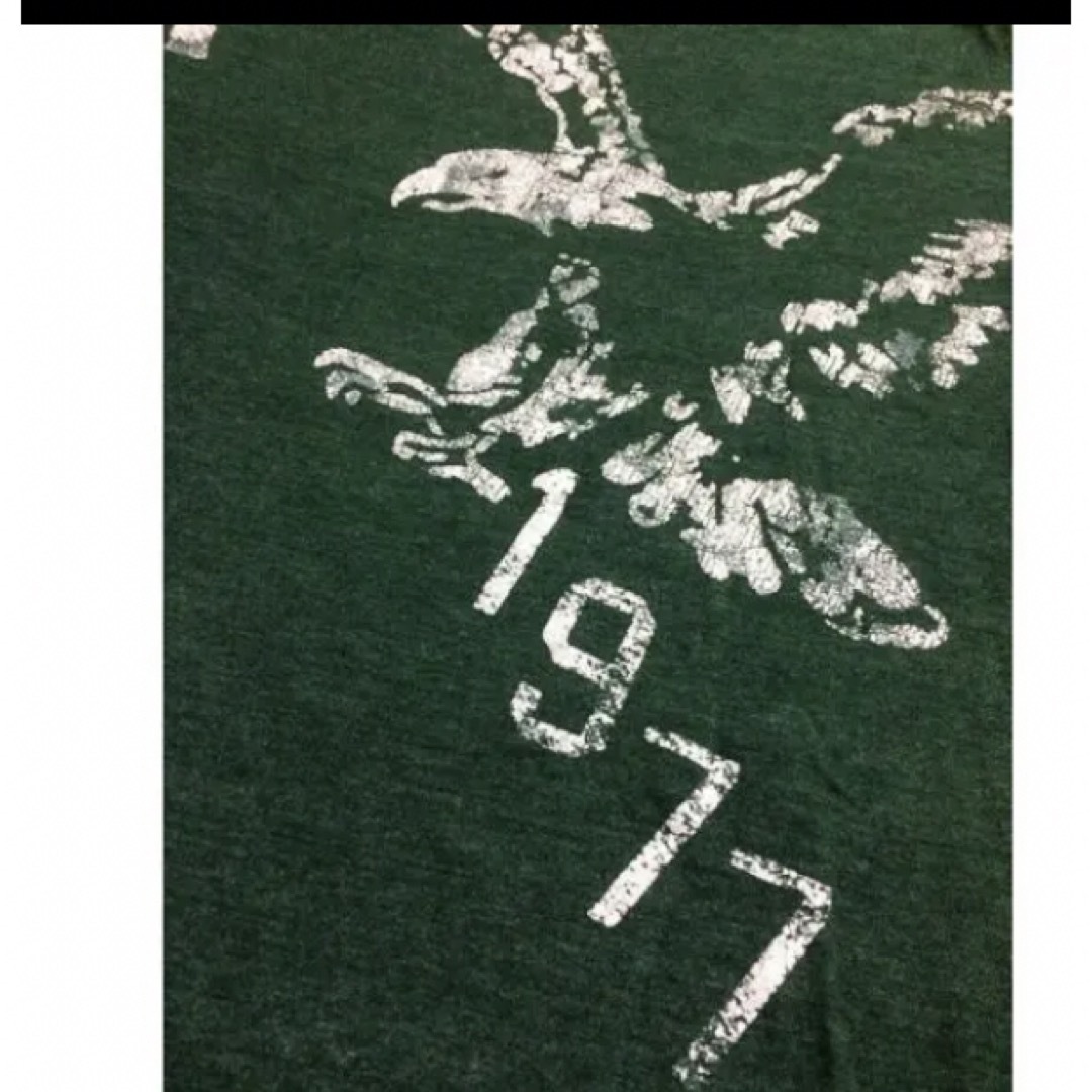 American Eagle(アメリカンイーグル)のアメリカンイーグルダークグリーンコットンT メンズのトップス(Tシャツ/カットソー(半袖/袖なし))の商品写真