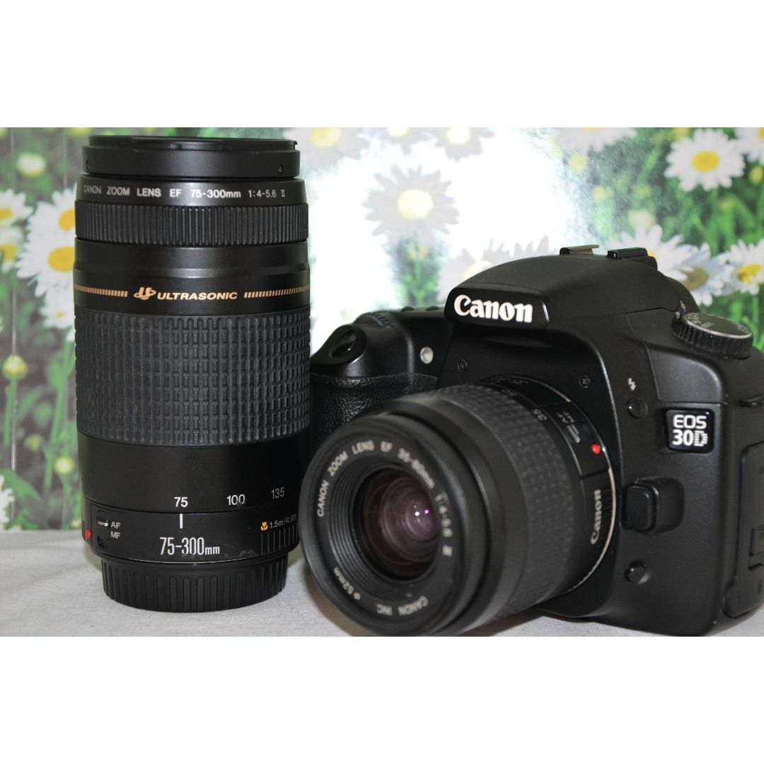 Canon   Canon Eos Dキャノン デジタル一眼レフダブルレンズ