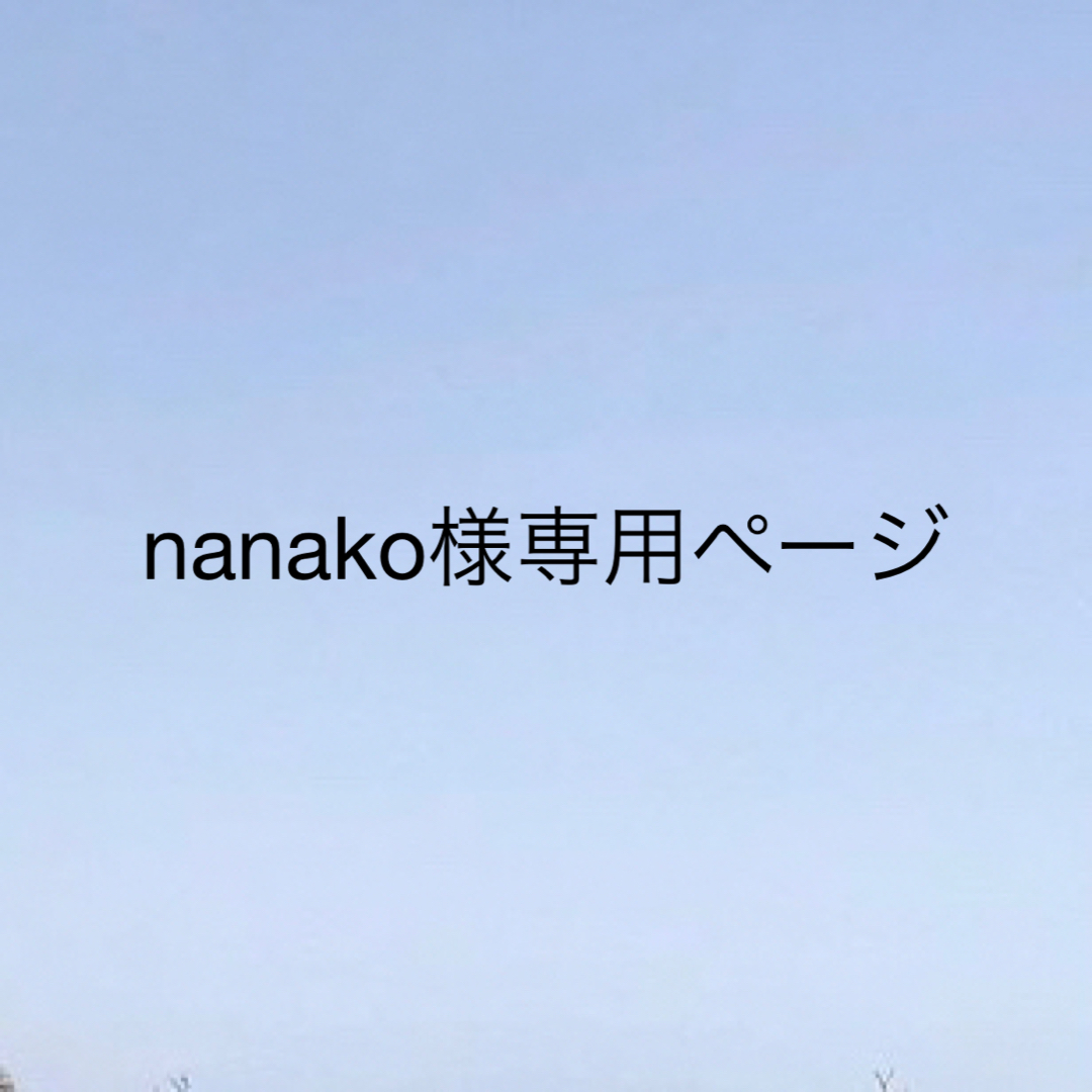 nanako様専用ページ その他のその他(その他)の商品写真