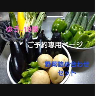 ゆう-19様　専用ページ　野菜詰め合わせセット(野菜)