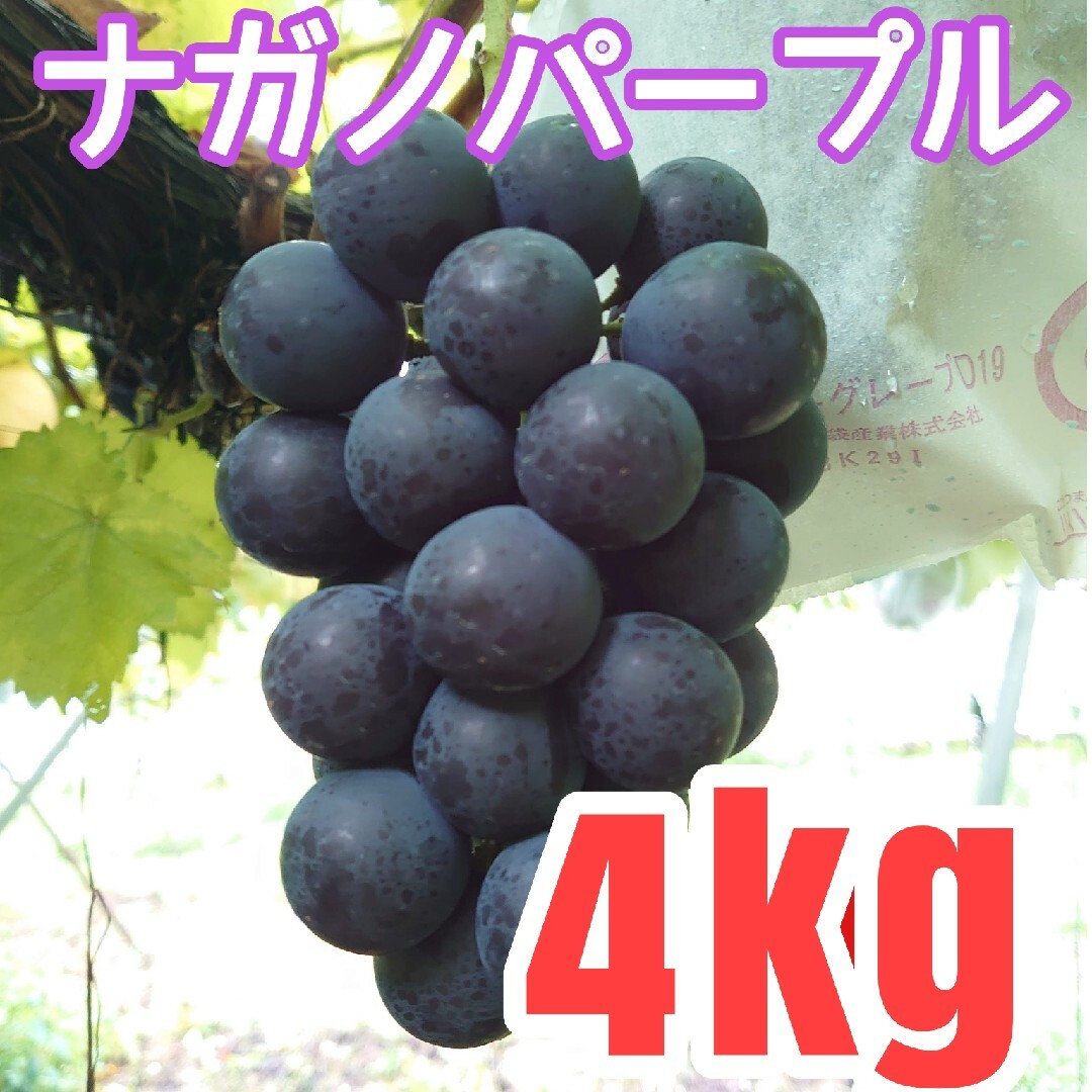 ナガノパープル 家庭用4kg