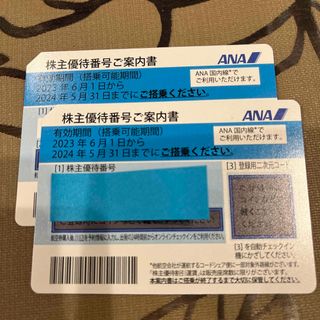 エーエヌエー(ゼンニッポンクウユ)(ANA(全日本空輸))のANA 株主優待券　2枚　2024年5月31日まて(その他)