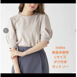 インデックス(INDEX)の新品未使用　タグ付き　インデックス　半袖　カットソー(カットソー(半袖/袖なし))