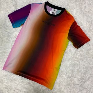 カルバンクライン(Calvin Klein)の新品 タグ付 カルバンクラインジーンズ マルチカラー シャツ トップス Mサイズ(Tシャツ/カットソー(半袖/袖なし))