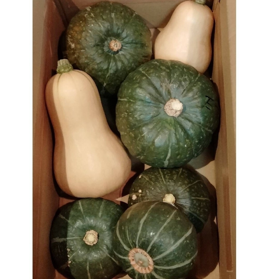 無農薬　かぼちゃ　３種類セット 4.6㎏ 食品/飲料/酒の食品(野菜)の商品写真