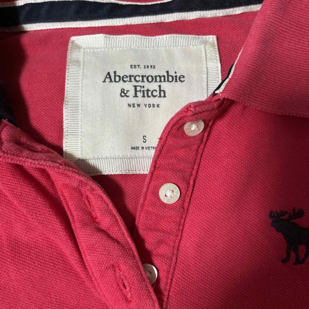 Abercrombie&Fitch(アバクロンビーアンドフィッチ)のポロシャツ　夏 レディースのトップス(ポロシャツ)の商品写真