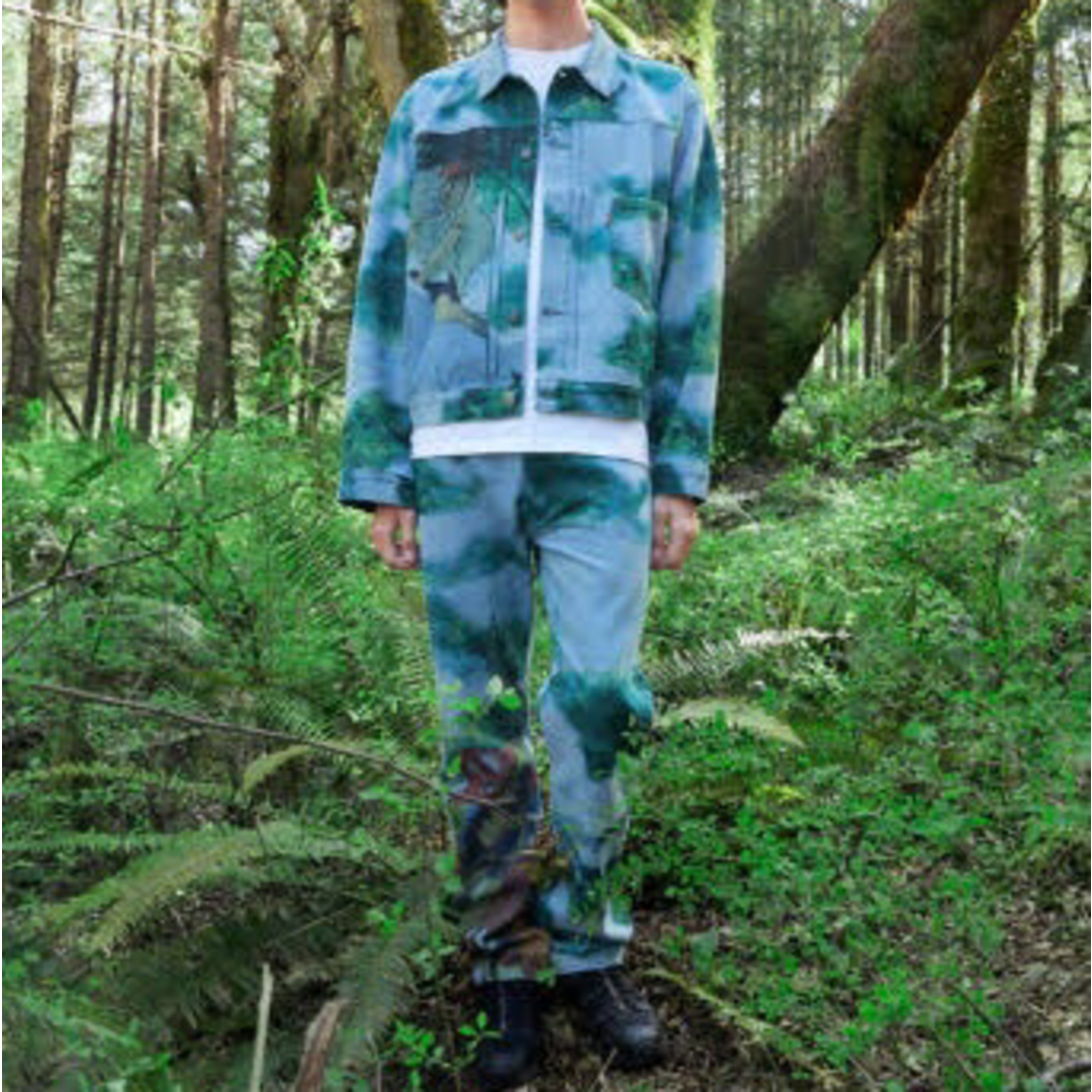 Levi's もののけ姫 コラボ 501'93 W33 ジブリオンライン限定