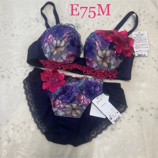 ワコールサルート 63 F75ブラ&LショーツKO-