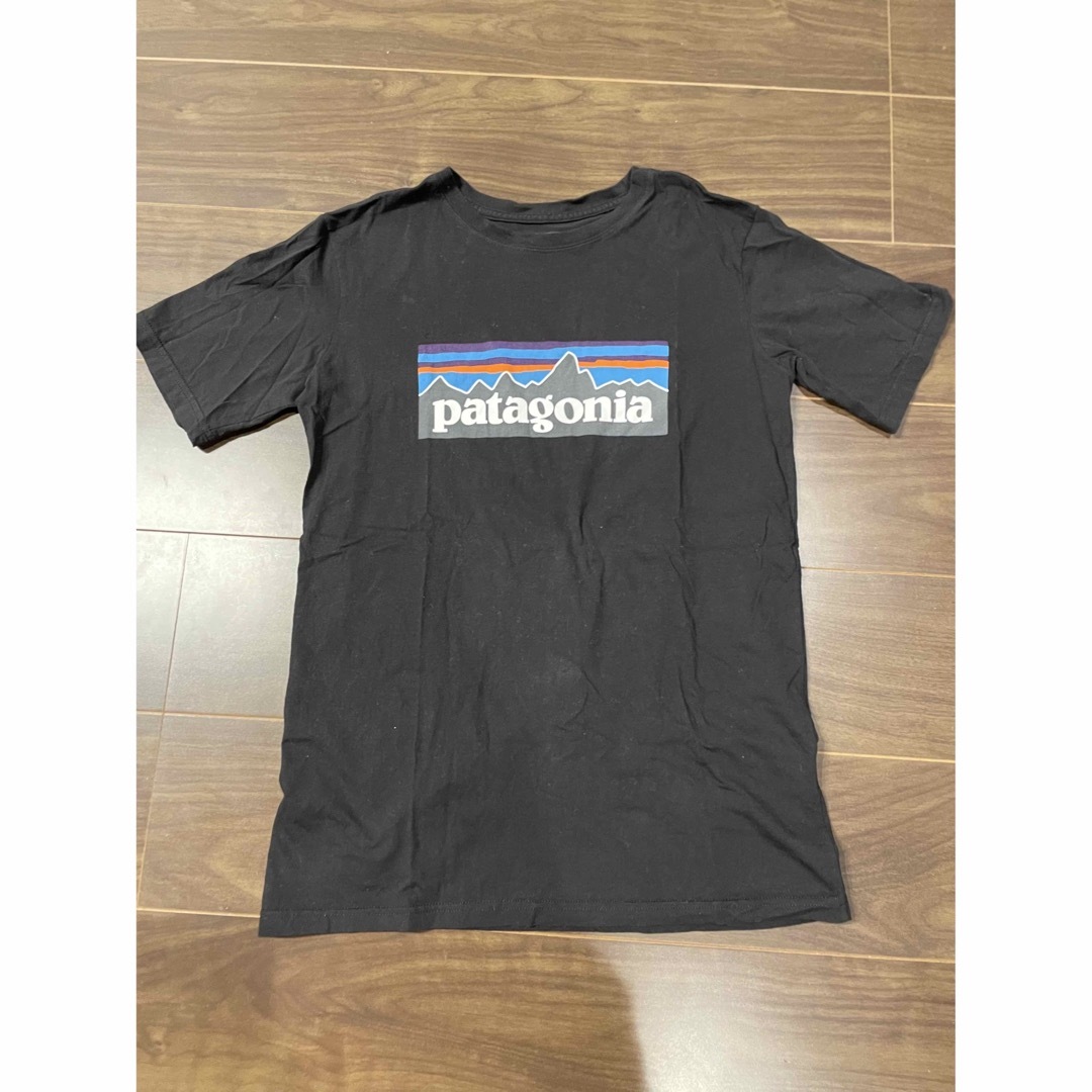 patagonia(パタゴニア)のパタゴニア Tシャツ レディースのトップス(Tシャツ(半袖/袖なし))の商品写真