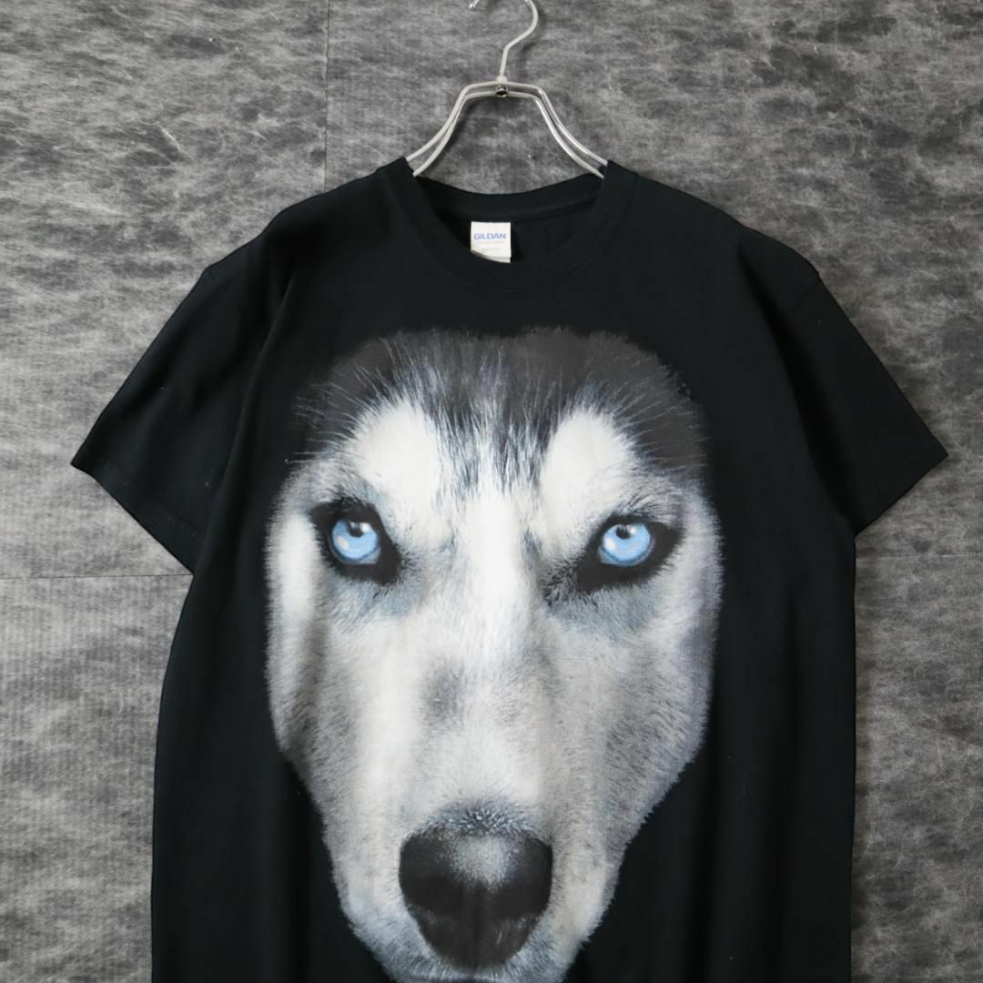 GILDAN - 【GILDAN】ハスキー 犬 ドッグ フェイス BIGプリント Tシャツ ...