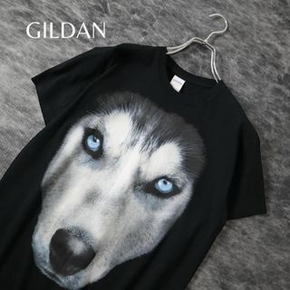 ギルタン(GILDAN)の【GILDAN】ハスキー 犬 ドッグ フェイス BIGプリント Tシャツ 黒 M(Tシャツ/カットソー(半袖/袖なし))