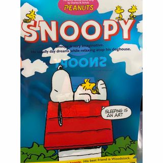 スヌーピー(SNOOPY)のスヌーピー   クリアファイル　レトロレア(キャラクターグッズ)