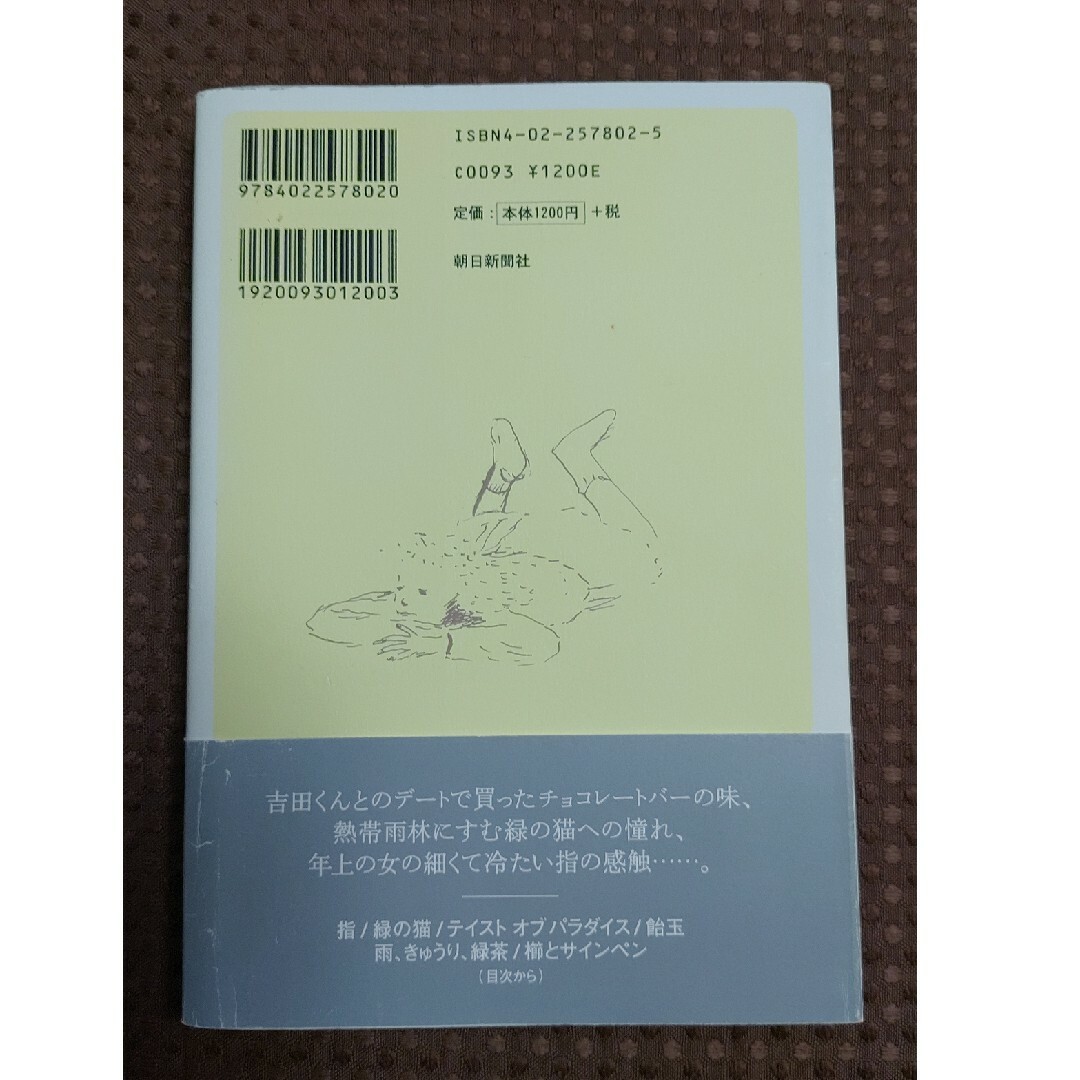 いつか記憶からこぼれおちるとしても 江國香織 帯つき エンタメ/ホビーの本(文学/小説)の商品写真