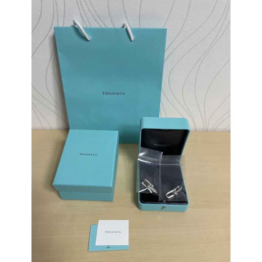Tiffany & Co. - ⭐︎8/20終了⭐︎【新品未使用】ティファニー ハード
