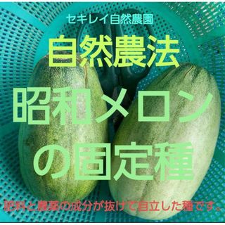 自然農法　昭和メロン（まくわうり）の固定種(野菜)