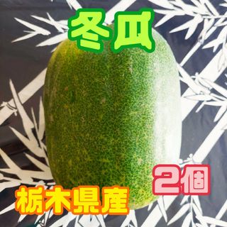 栃木県産　冬瓜　2個(野菜)